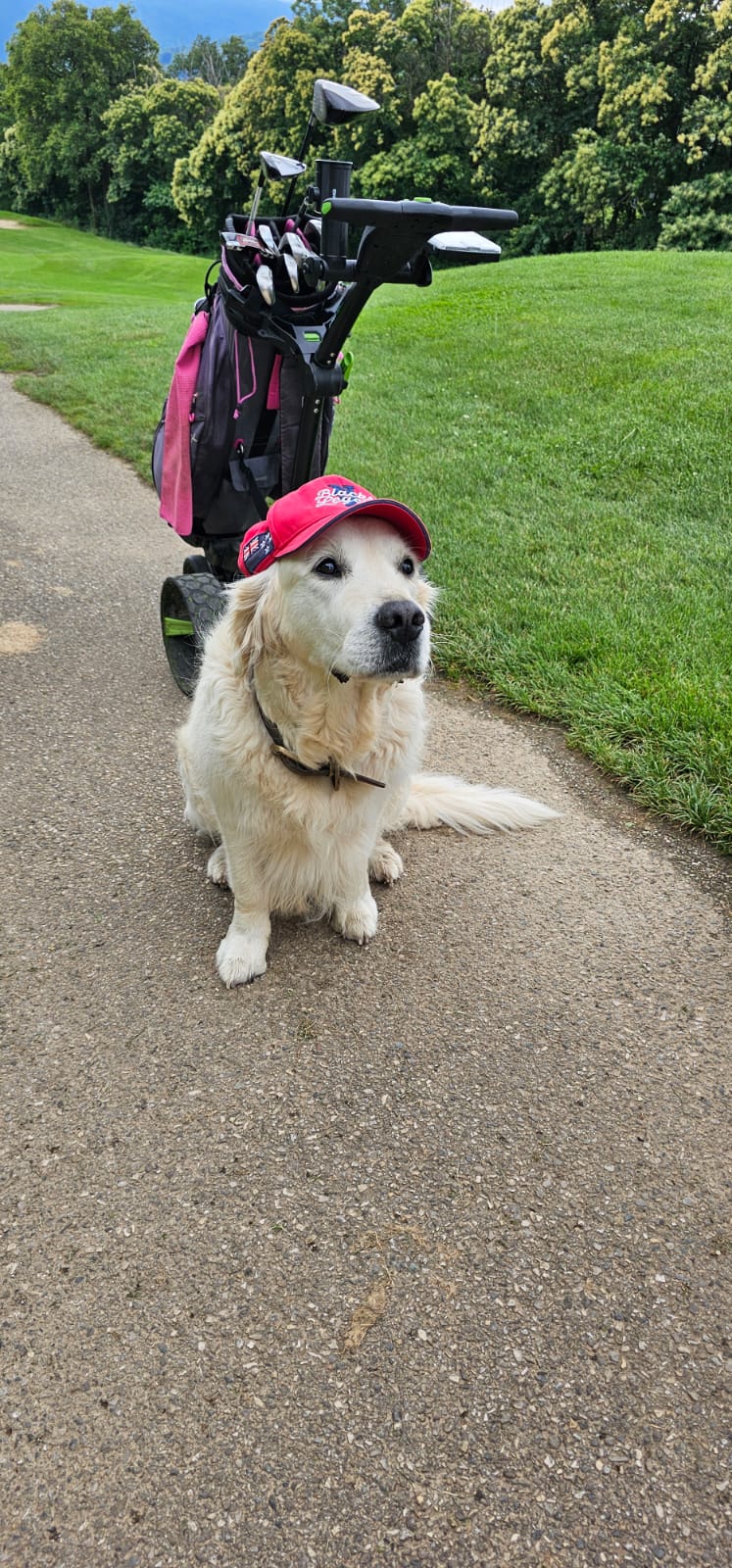 education-canine-jarrie