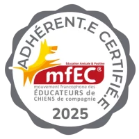 Macarons-MFEC-2025-1024×1024 Macarons-MFEC-2025-1024x1024